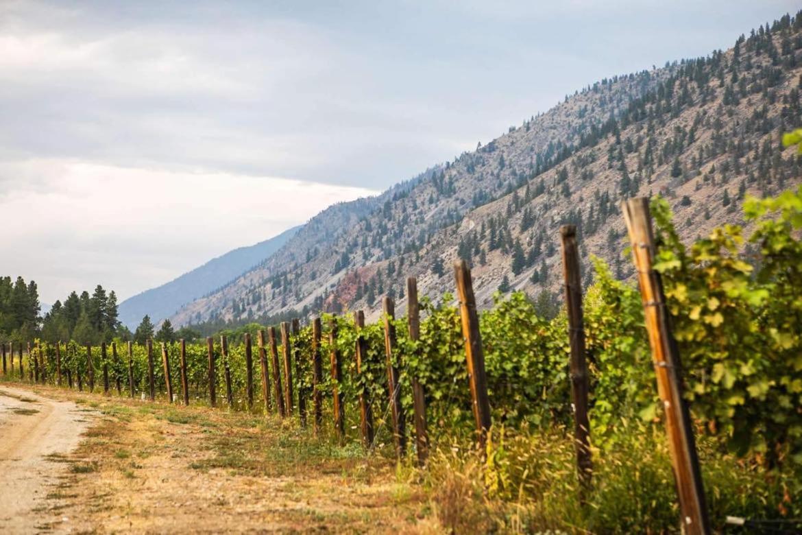 Similkameen Wild Resort & Winery Retreat 오소유스 외부 사진